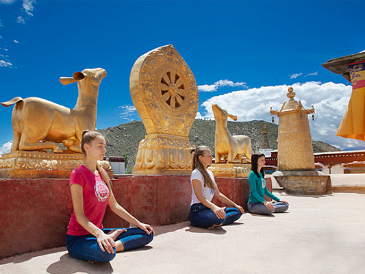 Best Meditation Poses