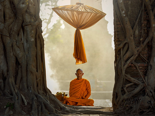 Daoist Meditation: A Comprehensive Guide to Its Practices and Philosophy