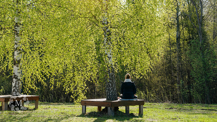 Meditation under a tree photo
