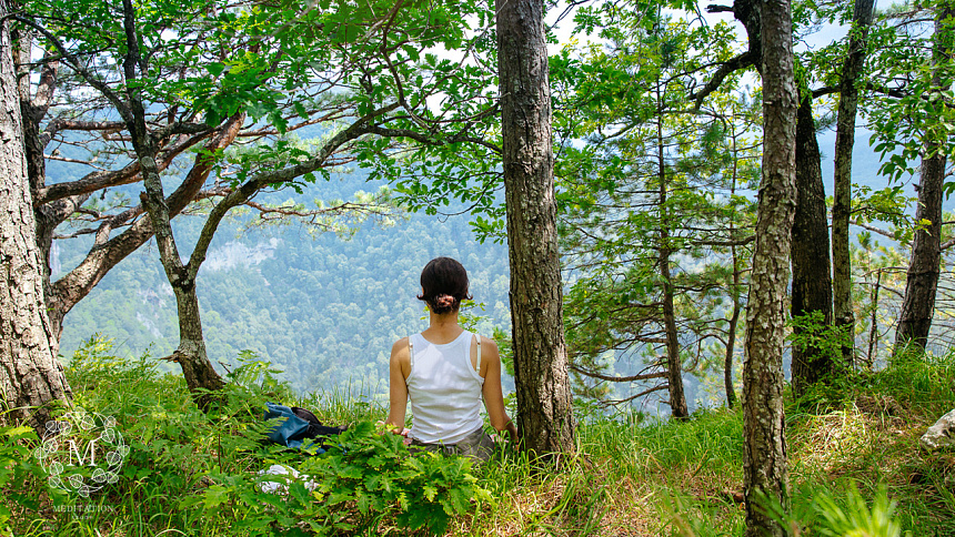 медитация в лесу