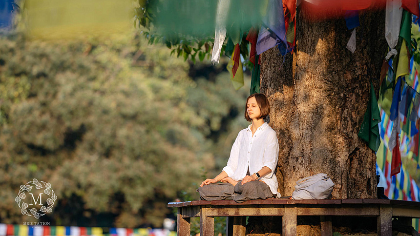 meditation under a tree photo