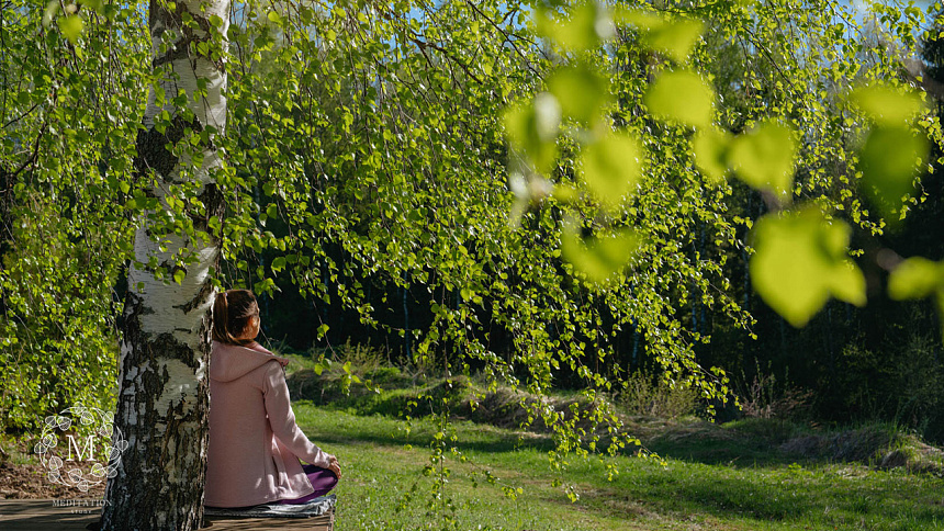 Meditation under a tree photo