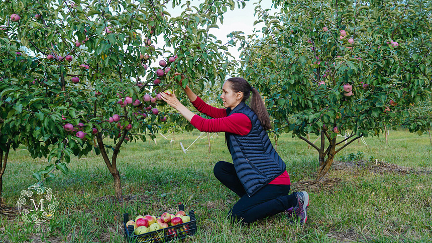 An altruistic work in the garden of the Aura Retreat Centre